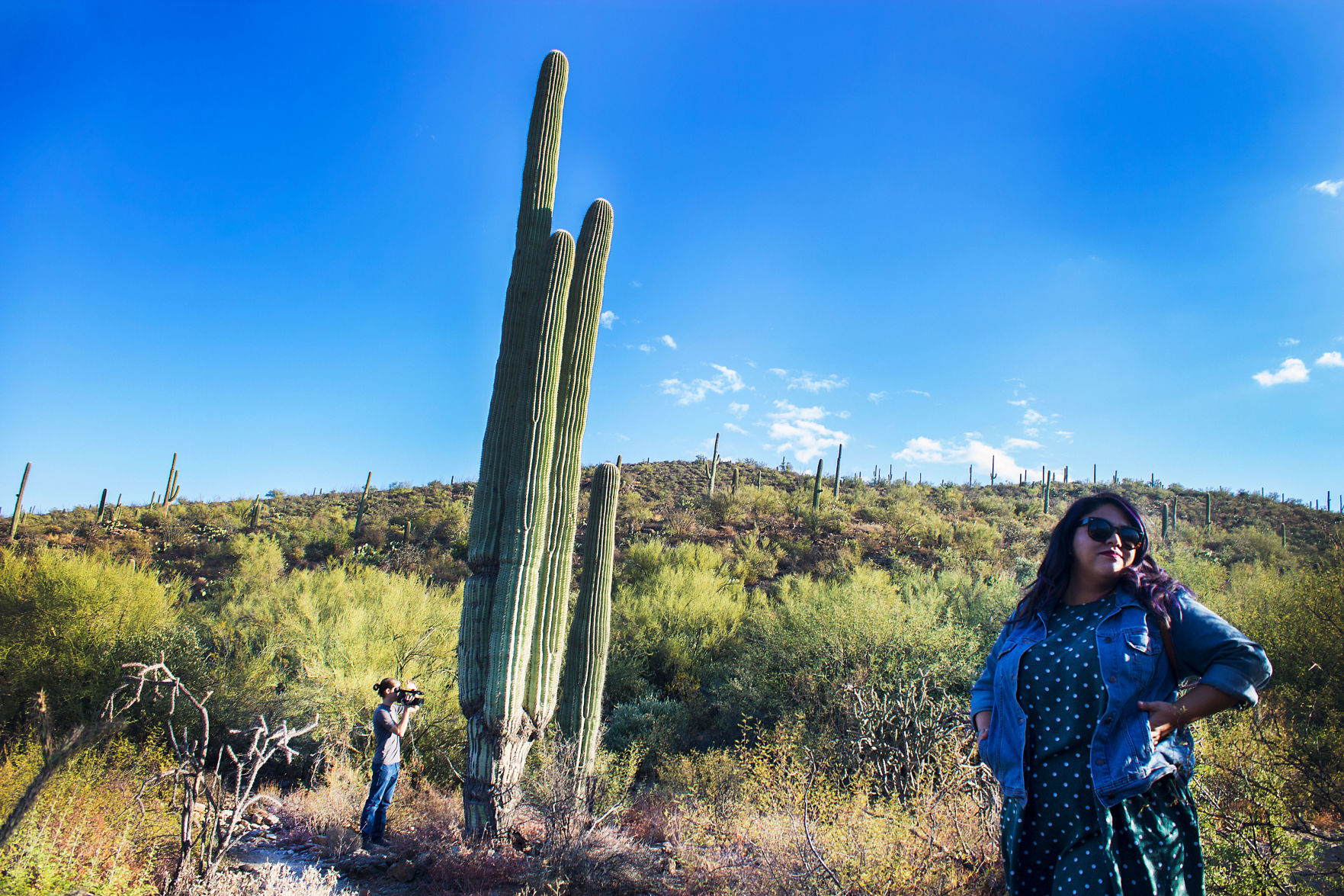 San Xavier Mission day trip: Robles Pass